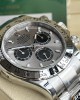 Rolex-Cosmograph Daytona m116509-0072